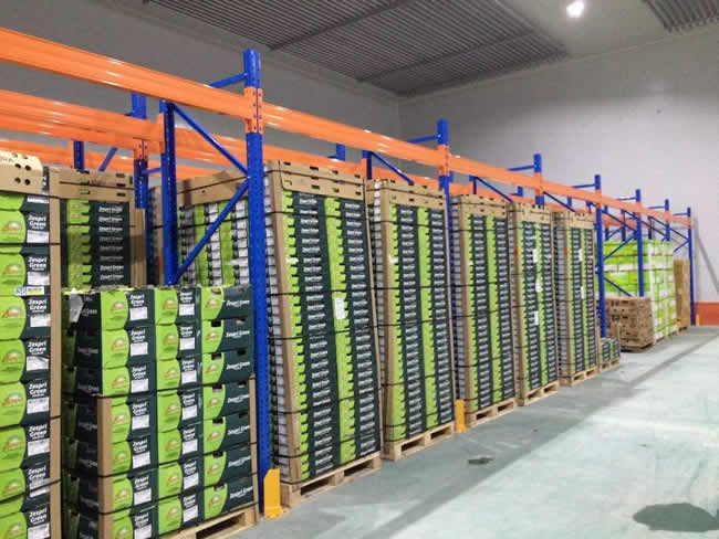 桃、李、杏水果儲(chǔ)存保鮮冷庫建造及造價(jià)