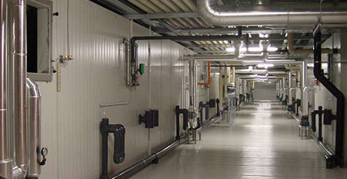 建設(shè)一個(gè)蔬菜氣調(diào)冷庫(kù)要多少錢(qián)？